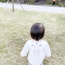 지온숲 이미지