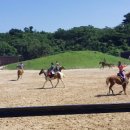 제주 더마파크(The 馬 Park) 공연 이미지