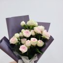 사동그린꽃 이미지