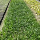 주암동농장 이미지