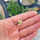 IP MOTORS(아이피모터스) 이미지