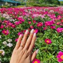 달달해네일 이미지