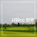 관타나기성골프샵 | 방콕 골프 #2 시암cc 방콕 라운딩 재방문 의사 100%