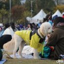 댕버랜드 네이버블로그