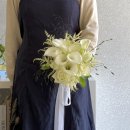 꽃의계절 | 창원 웨딩 촬영부케 / 본식부케 / 창원꽃집 꽃피는계절 / 예쁜 후기 사진까지~