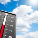 38℃ 이미지