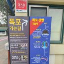 제주도 태교여행 #8_ 자연+포토존 완벽 코스 [천제연폭포·선임교·서귀포농원]