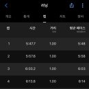 데일리(DAILY)