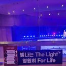 The Light in FORESTELLA ♡ 이미지
