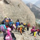 101차 정기산행(전남 진도군 지산면 동석산 240m) 이미지