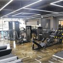 핏 테라피 퍼스널 트레이닝 이미지