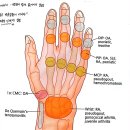 세천아침한의원 이미지