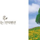 잠꽃펜션 이미지