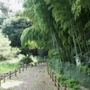 탐나는 제주 3일 – 밭담길·에코랜드·전일정 식사포함! 이미지