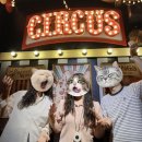 연극햄삑 | “잭인더쇼” 포인트나인 건대점 방탈출 후기: 이머시브의 빛과 소금... 이긴한데