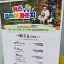 [아이랑 제주 여행 후기] 비가 와도 문제 없던 제주 에코랜드 | 기차덕후 아이랑 즐기기