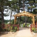 솔향기공원 이미지