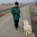 산책 - 기장군 장안로 306 | 산책