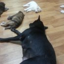 첼로 중급(성인) 이미지