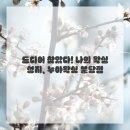 보들 왁싱