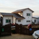 따봉농장 이미지