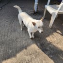 어등골숯가마 이미지