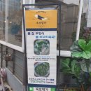 목포명가 | (맛집) 봄 도다리쑥국 목포명가 삼성점 후기