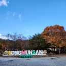돈덕한흥업순대 이미지