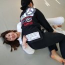 팀 스트라익 주짓수 킥복싱 합기도 이미지