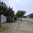 효자동 박태성정려비및묘 이미지