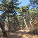 석빙고 공영주차장 | 경주여행 2일차)통일전, 선덕여왕릉, 석빙고, 월정교, 교촌한옥마을까지 무계획커플의 경주 정복기!