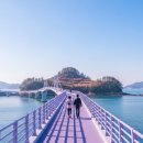 신안마을 | 신안 천사섬 기차여행 후기! 퍼플교와 퍼플마을, 천사대교에서 즐긴 하루