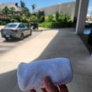 멕시코 칸쿤여행 #1 하얏트 비비드 칸쿤(Hyatt vivid grand island) 후기 첫번째.