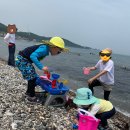 행복한 감포 민박 이미지