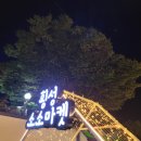 맛보소 | 제18회 횡성한우축제(22. 9. 30~10. 4) 방문후기 (주차, 행사내용 등)