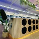 피트니스연구소 송도점 헬스 PT 이미지