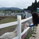 진아목장 이미지