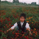 보물단지 이미지