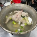 동대문 DDP맛집 명동 닭한마리 본점 후기