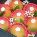 쌍용아파트 중산마을입구 이미지