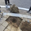 삐뚤한 불량 보도블럭 보수 공사