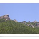 바로상사 이미지