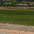 임자공인중개사사무소 이미지