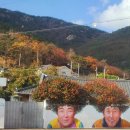 암태 노만사 | 신안군 승봉산 + 두봉산 산행. 등산코스 : 암태중학교 - 승봉산 - 수곡임도 - 은암교 - 도명사 - 두봉산...