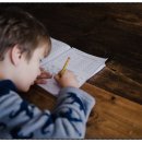 신문으로 문해력 키우기 이미지