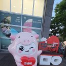 밀양아리나관광안내소 이미지