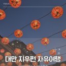 965 | 대만 3박 4일 | 타이베이 근교 소도시 지우펀 대중교통 타고 다녀온 후기 (feat. 965번 버스)