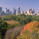 시티뉴욕(City New York) 이미지