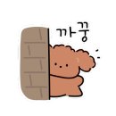펫뜨락 이미지