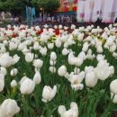 이로움메디컬 이미지